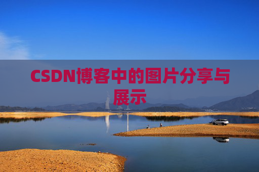 CSDN博客中的图片分享与展示